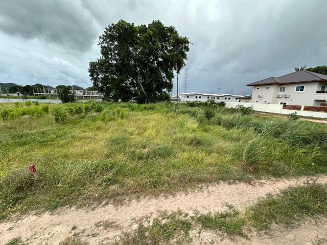 TEL :088-559 5199 คุณเอLine: https://line.me/ti/p/C0eGe0whLXขายที่ดินเปล่า แปลงสวย ใจกลางเมือง ชลบุรีเส้นถนนอัสสัมชัญ เลียบทางรถไฟ ใกล้แหล่งชุมชน เดินทางสะดวก รายล้อมโครงการหมู่บ้าน เหมาะทำบ้านพักอาศัยเนื้อที่ 200 ตารางวาราคา 3.2 ล้านบาทไม่รวมค่าโอนT : A4                                                  