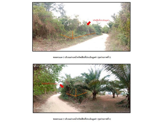 ขายที่ดิน ต.เหนือคลอง อ.เหนือคลอง จ.กระบี่  PGKBI610004