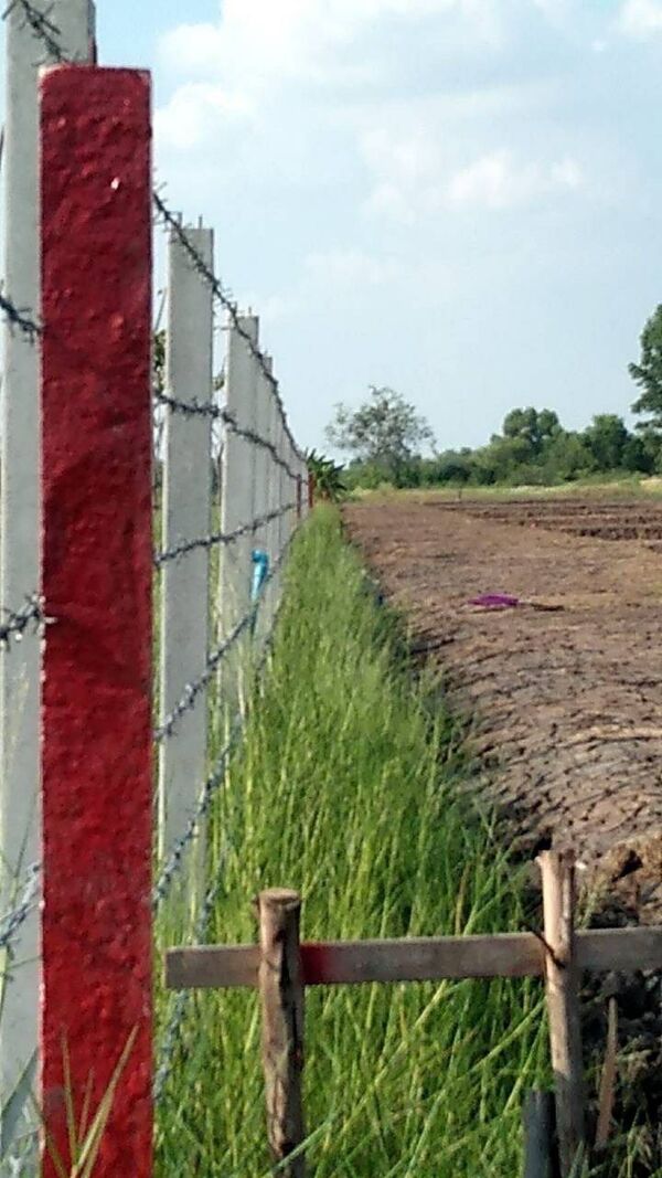  ที่ดินเปล่า ใกล้วัดป่าคลอง อำเภอ หนองเสือ จังหวัด ปทุมธานี