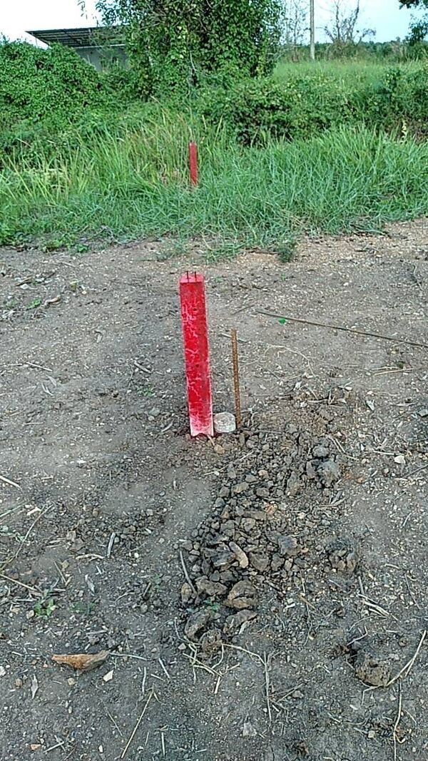 ที่ดินเปล่า ใกล้วัดป่าคลอง 11 ตำบล บึงกาสาม อำเภอ หนองเสือ จังหวัด ปทุมธานี