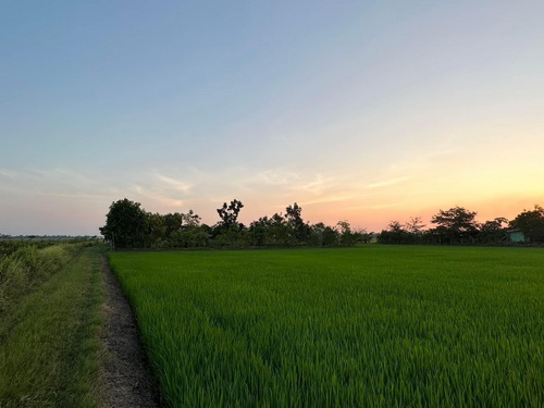 ที่ดินสวย6 ไร่ มีสวนและสิ่งปลูกสร้าง โครงการถนนตัดผ่านหน้าที่ ทางเลี่ยงเมืองฉะเชิงเทรา ทล.304-ทล.365 