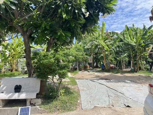 2407ACL2106 ขายที่ดินเปล่า 71 ตารางวา หน้ากว้าง 25.59 เมตร ลึก 16.70 เมตร ทำเลดี อยู่ในย่านชุมชน ใจกลางเมือง อยู่ในซอย อุดมสุข 26 ใกล้สถานีรถไฟฟ้า เหมาะสำหรับสร้างบ้านเพื่ออยู่อาศัย ซื้อไว้เก็งกำไรในอนาคต2407ACL2106  Vancant land for sale,71 square wa. Width 25.59 meters, depth 16.70 meters, good location, in a community area, in the heart of the city, in Soi Udomsuk 26, near the BTS station. Suitable for building a house for living. Buy to speculate in the future.ที่ตั้งทรัพย์ : ซ.อุดมสุข 26 ต.บางนา อ.พระโขนง กรุงเทพ 10260Location: Soi Udomsuk 26, Bangna Subdistrict, Phra Khanong Distri