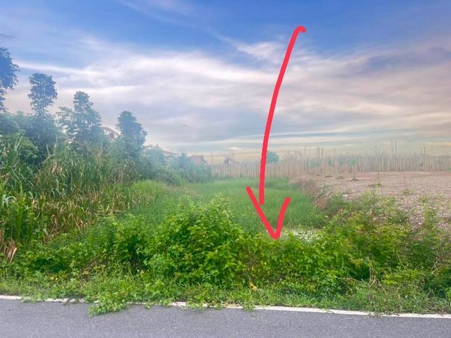 ขายที่ดินเปล่า  คลอง5คลองหลวงซอยตะวันออก 24  ขนาด 104 ตรง. ทำเลดีใกล้ถนนทางหลวง