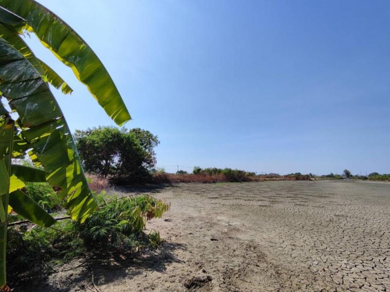 ขายที่ดินขนาด 3ไร่ ใกล้สนามบินสุวรรณภูมิ ซอยวัดศรีวารีน้อย(ลาดกระบัง54) ต.ศรีษะจรเข้น้อย อ.บางเสาธง จ.สมุทรปราการ