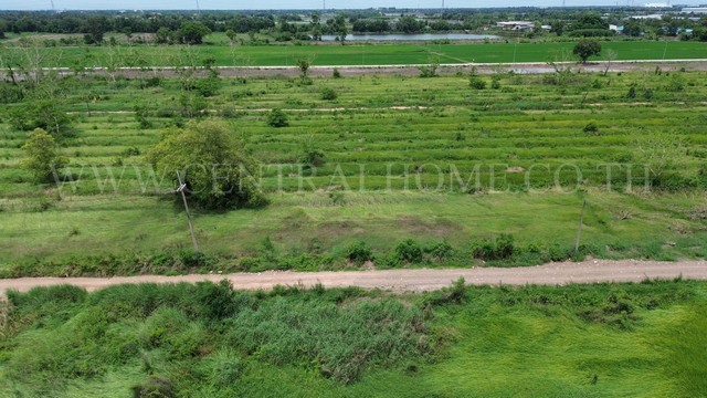 ที่ดิน 200 ตารางวา รังสิต คลอง 11 ใกล้ถนนรังสิต-นครนายก