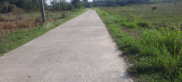 C4533 ให้เช่าบ้านเดี่ยว 2 ชั้น โครงการมัณฑนา ศรีนครินทร์ บางนา ใกล้ JAS URBAN ศรีนครินทร์