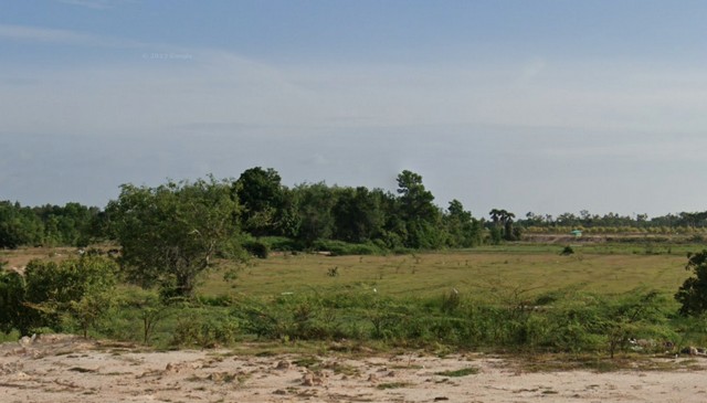 ที่ดินเปล่าแบ่งขาย ทำเลทอง  ห่างจากศูนย์การแพทย์มหาวิทยาลัยวลัยลักษณ์ 2 กม.