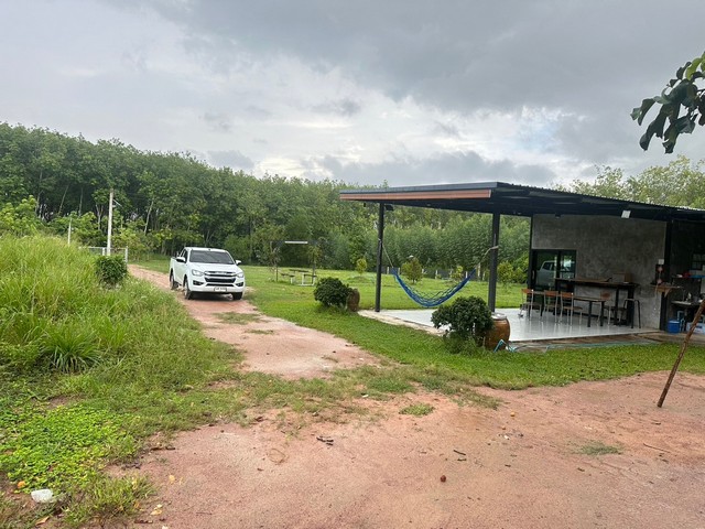 ให้เช่าบ้านสวน 2 ไร่ สาย 9 นิคมพัฒนา ระยอง ให้เช่าบ้านสวน 2 ไร่ สาย 9 นิคมพัฒนา ระยอง