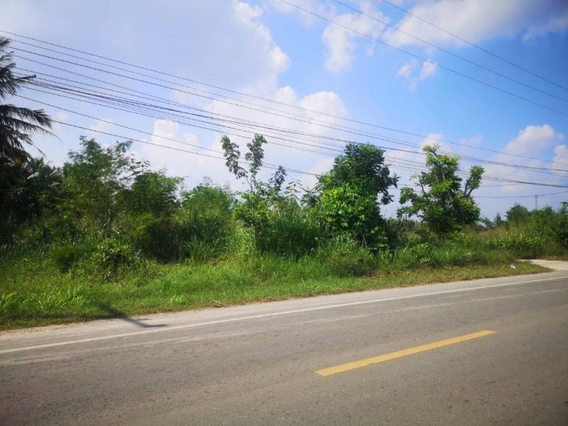 ขายที่ดิน เนื้อที่ 1 ไร่ 1 งาน ติดถนนลาดยาง ใกล้ รร.สมถวิลอินเตอร์ ปราณบุรี หัวหิน ประจวบคีรีขันธ์