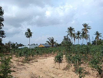 ขายที่ดินเปล่า อ.บางละมุง ถนนบ้านแกรก ตำบลหนองปลาไหล อำเภอบางละมุง จังหวัดชลบุรี เนื้อที่ 106 ตารางวา