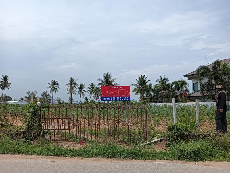  ขายที่ดินเปล่า อ.บางละมุง ถนนบ้านแกรก ตำบลหนองปลาไหล อำเภอบางละมุง จังหวัดชลบุรี เนื้อที่ 102 ตารางวา