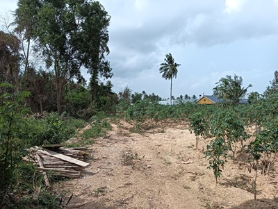 ขายที่ดินเปล่า อ.บางละมุง ถนนบ้านแกรก ตำบลหนองปลาไหล อำเภอบางละมุง จังหวัดชลบุรี เนื้อที่ 102 ตารางวา