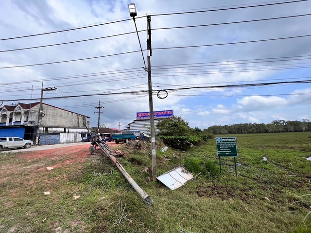 ขายด่วนที่ดิน เนื้อที่ 7 ไร่ 2 งาน ติดถนนใหญ่ 4 เลน สายไชยา-พุมเรียง ต.พุมเรียง อ.ไชยา จ.สุราษฎร์ธานี