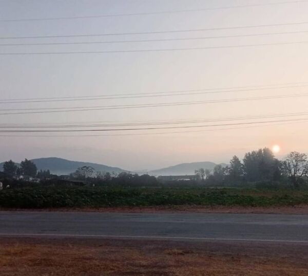 ขายที่ดินทำเลทองของแท้ เยื้องมายโอโซนเขาใหญ่ ต.วังไทร อ.ปากช่อง จ.นครราชสีมา ติดทางสาธารณะ 3 ด้าน