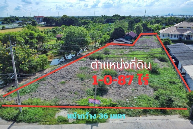 ให้เช่า ที่ดิน บางใหญ่ 487 ตร.วา ถมแล้ว ต.บางใหม่ ติดถนน 2 ด้าน แปลงมุม เดินทางเข้าออกสะดวก  อ.บางใหญ่ จ.นนทบุรี.ให้เช่าเพียง 25000 บาท/เดือน (ปกติ 30000บาท).รายละเอียดทั้งหมด :ประเภท : ที่ดินเปล่าถมแล้วเนื้อที่ : 1-0-87 ไร่ หรือ 487 ตร.วขนาดที่ดิน : หน้ากว้าง 36 เมตร ถนนหน้าแปลงที่ดิน : กว้าง 10 เมตรทิศหน้าทรัพย์ : ตะวันตกเฉียงใต้ที่ตั้ง : ติดถนนหลักทางหลวงหมายลข 5027 ตำบล บ้านใหม่ อำเภอบาง