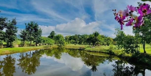 บ้านพักตากอากาศสวยสุดๆ 20 ไร่ ที่ดินแปลงสวยพร้อมบ้านพักตากอากาศ แม่แตง แวดล้อมด้วยแหล่งท่องเที่ยว ธรรมชาติ ชุมชนที่สงบ อากาศเย็นสบายตลอดปี