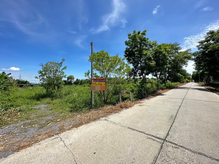 ที่ดินเปล่า 4-1-60 ไร่ ตำบลขุนศรี อำเภอไทรน้อย จ.นนทบุรี