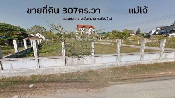 โซนแม่โจ้ ขายที่ดินตรว.ละ 30,000 บาท เนื้อที่ 307 ตรว. สันทราย อยู่ห่างถนนทางหลวง1001 เชียงใหม่-พร้าว 150 เมตร