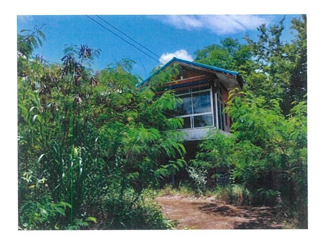 Code ID : PG-PLK640028ราคาขาย     5,800,000 บาท- เนื้อที่ :  4 ไร่ / 3 งาน / 75 ตร.ว พื้นที่ใช้สอย : 493.05 ตร.ม- - ห้องนอน - ห้องน้ำ - 1 คัน- บ้านหันไปทางทิศ : -พิกัดทรัพย์ :   https://maps.app.goo.gl/itXv3VV6oZLoe8Bs9สถานที่ใกล้เคียง- ใกล้วัดเนินเพิ่ม- ใกล้โรงเรียนนครไทย- ใกล้วัดบ้านนาโพธิ์- ใกล้วัดบ้านนาจานสอบถามเพิ่มเติม/นัดชมโทร. 097-419-5982(พลอย)โทร. 096-932-4624(ออมสิน)Line : @panaya (มี@ด้านหน้า)ปรึกษาสินเชื่อฟรี One Stop Service ดูแลตั้งแต่ต้นจนจบบริษัท ปณยาคิ