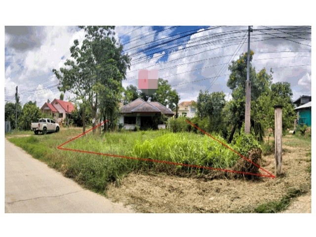 Code ID : PG-PLK640002ราคาขาย      1,900,000 บาท- เนื้อที่ :  2  งาน พื้นที่ใช้สอย : 74.19 ตร.ม- 2 ห้องนอน 1 ห้องน้ำ - 1 คัน- บ้านหันไปทางทิศ : -พิกัดทรัพย์ :   https://maps.app.goo.gl/s83L2dM5ML5wqcaW6สถานที่ใกล้เคียง- ใกล้โรงเรียนมหาวนาราม- ใกล้โลตัส โกเฟรช แยกเต็งหนาม พิษณุโลก- ใกล้ตลาดร่วมเจริญ สระโคล่- ใกล้วัดบ่อทองคำสอบถามเพิ่มเติม/นัดชมโทร. 097-419-5982(พลอย)โทร. 096-932-4624(ออมสิน)Line : @panaya (มี@ด้านหน้า)ปรึกษาสินเชื่อฟรี One Stop Service ดูแลตั้งแต่ต�