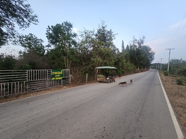 ขายที่เปล่าราชบุรีติดถนน ขายที่ดินใกล้หลวงพ่อวิริยังค์