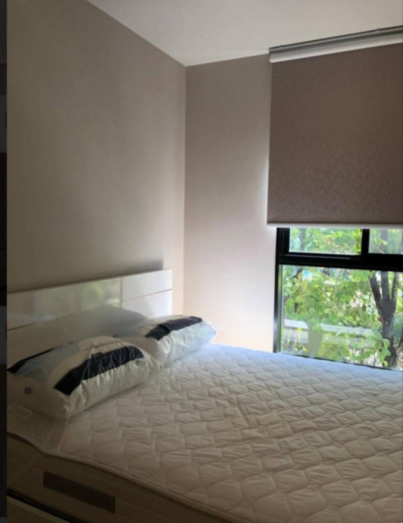 ขายคอนโด The Tree Sukhumvit 71 – Ekamai (เดอะทรี สุขุมวิท 71 – เอกมัย) ทำเลดี แอร์พอร์ต ลิ้งค์ รามคำแหง 500 ม.