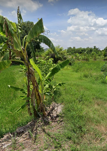 ขาย ที่ดินเปล่า 1 ไร่ 21 ตร.วา ใกล้ถนนใหญ่ ใกล้เซ็นทรัลศาลายาและตลาดหลายแห่ง ต.คลองโยง อ.พุทธมณฑล นครปฐม สนใจติดต่อสอบถามได้ค่ะ รายละเอียด (Description) - ขนาด 1 ไร่ 21 ตร.วาการเดินทาง- ถนนดาวทอง  1.5 กิโลเมตร- ถนนหมายเลข 3004  2.5 กิโลเมตร- ถนนหมายเลข 4006  6.8 กิโลเมตร- ถนนพุทธมณฑลสาย 5  7.3 กิโลเมตรสถานที่ใกล้เคียง (Nearby Placess)- โรงเรียนบ้านคลองโยง  1.1 กิโลเมตร- ตลาดนัดคลองโยง  2.6 กิโลเมตร- วิทยาลัยการ