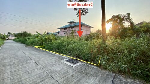 ขายที่ดินถนนเศรษฐกิจ 1 ซอย 3, กระทุ่มแบน สมุทรสาคร 93 ตารางวา ราคาดี ผังสีม่วง