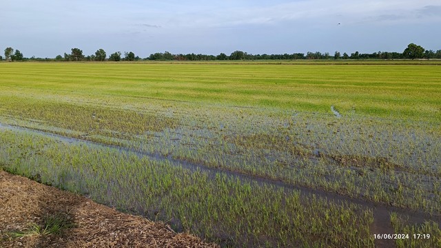 ขายที่ดินทำเลดี 42 ไร่ เจ้าของขายเอง  ตำบลบึงศาล อำเภอองครักษ์ จังหวัดนาครนายก