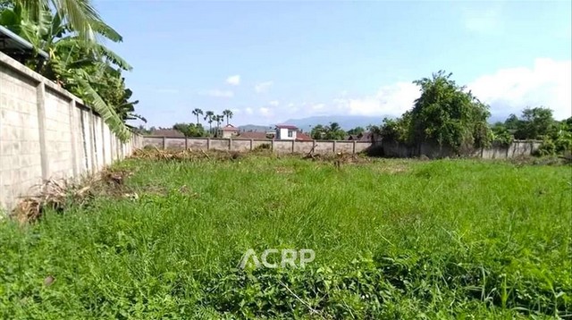 ขายที่ดินเปล่าหมู่บ้านเชียงใหม่วิวดอย อ.หางดง จ. เชียงใหม่ ขนาด 325 ตร.ว. ทำเลดี ฝั่งขาเข้าเมืองเชียงใหม่ เหมาะสำหรับสร้างบ้านอยู่อาศัย ห่างจากกาดฝรั่งวิลเลจ 2.9 กิโลเมตร บิ๊กซีแม่เหียะ 5.9 กิโลเมตร และโรงเรียนนานาชาติลานนา 7 กิโลเมตรขาย 4,712,500 บาท (14,500 บาท/ตร.ว.) (รหัสทรัพย์ L-670621-0005)Contact Us+66 (0)88 268 2000info@acuterealtyconsultant.comLine Official : http://lin.ee/N9TaR0qAdd friend : acuterealtychiangmaihttps://www.acr-partner.com