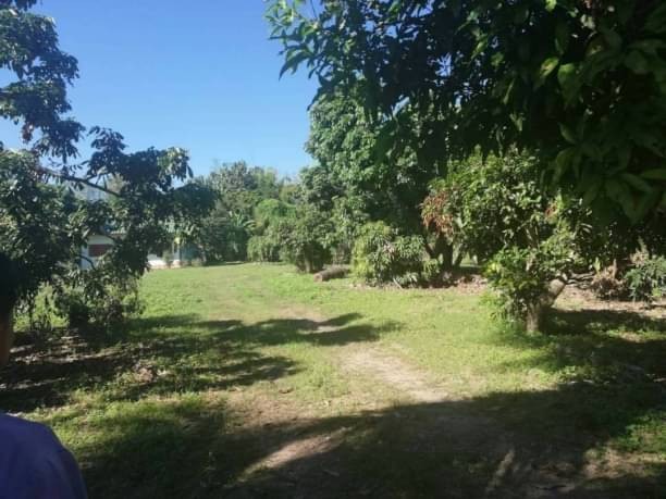 ที่ดินติดแม่น้ำปิง 9.5​ ล.เท่านั้น ​3-2-12 ตรว. มีที่งอกอีก 1 ไร่กว่า แม่แฝก สันทราย ด้านหน้าติดถนนลาดยาง อยู่ในชุมชน