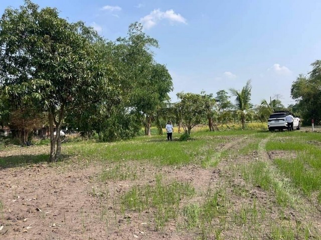 ที่ดินติดริมน้ำ คลอง22 องครักษ์ นครนายก 2 ไร่ ไร่ล่ะ  2,590,000 บาท 