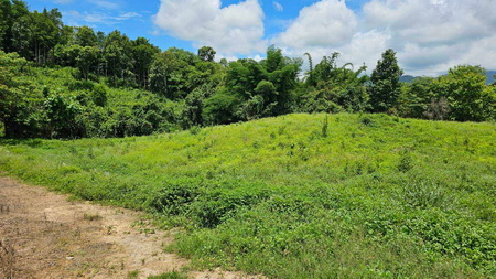 ที่ดินเปล่า 5 ไร่ 69 ตร.ว. ต.แม่เกิ๋ง อ.วังชิ้น จ.แพร่  