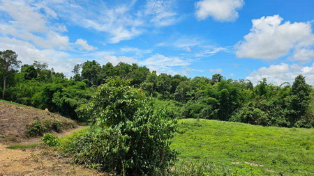 ที่ดินเปล่า 5 ไร่ 69 ตร.ว. ต.แม่เกิ๋ง อ.วังชิ้น จ.แพร่