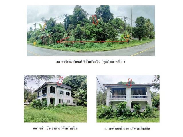 ขายบ้านเดี่ยวมือสอง อำเภอสุไหงปาดี นครศรีธรรมราช