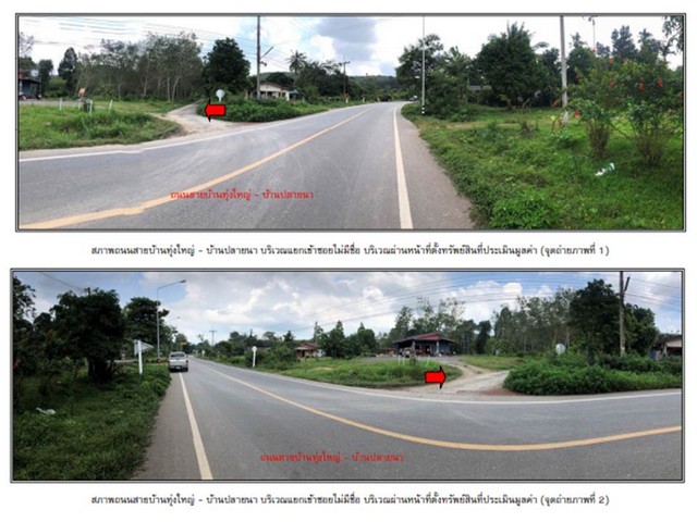 ขายบ้านเดี่ยวบ้านเดี่ยวไม้ ใต้ถุนสูง  อำเภอร่อนพิบูลย์ นครศรีธรรมราช