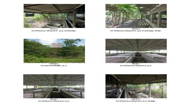 ขายโกดังมือสอง                อำเภอบางระกำ  พิษณุโลก