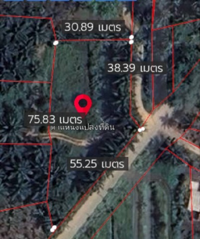 ขายที่ดิน 1-1-13 ไร่   ใกล้เมือง ซ.วัดพระขวาง  ต.วังไผ่ อ.เมือง จ.ชุมพร   ZCP074