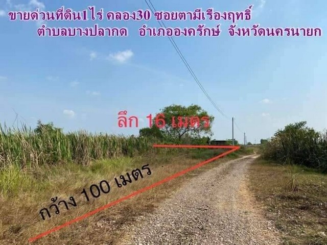 ขายด่วน ที่ดิน 1 ไร่ คลอง30 อ.องครักษ์ จ.นครนายก ที่ดินเปล่า ยังไม่ได้ถม ซอยตามีเรืองฤทธิ์