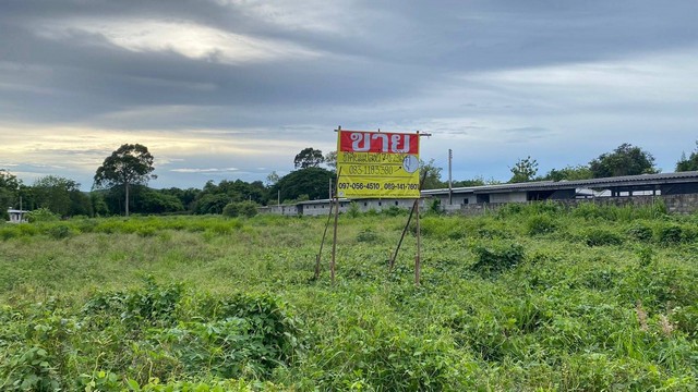 ขายด่วนที่ดินแปลงสวย 7-0-29 ไร่  สำนักท้อน บ้านฉาง ระยอง ใกล้ทางด่วน    ZJ123