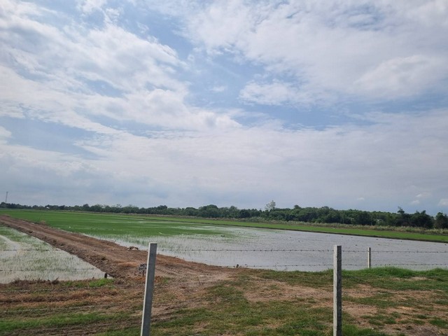 ขายที่ดิน 3 -12 ไร่  เขต EEC อ.เมือง ฉะเชิงเทรา  ผังสีม่วงจุดสีขาว เหมาะสร้างโรงงาน โกดัง