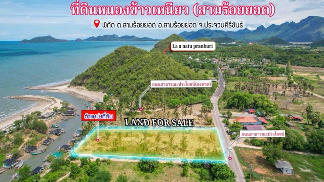 ขายด่วน! ที่ดินสวย ทำเลทองปราณบุรี ติดถนนสาธารณะประโยชน์ ใกล้หาดสามร้อยยอด