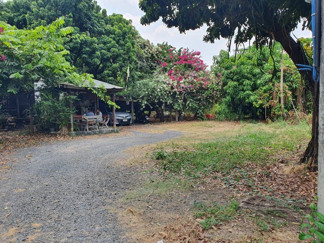 ขายที่ดินสี่เหลี่ยมผืนผ้า อยู่ห่างจากถนนเพียง 50 เมตร แถวดองกะเม็ด ถนนสุรินทร์ภักดี จ.สุรินทร์ เนื้อที่ 65 ตร.ว. ทำเลดี แหล่งชุมชน ใกล้โรงแรมทองธารินทร์ที่ตั้ง  :  ถนน สุรินทร์ภักดี ตำบล ในเมือง อำเภอเมืองสุรินทร์ สุรินทร์ 32000- เนื้อที่  65 ตร.ว.  หน้ากว้าง 16  ม. x ลึก 19  ม.-  ห่างจากถนนเพียง 50 เมตร -  แปลงที่ดินสี่เหลี่ยมผืนผ้า แปลงสวยเหมาะทำ บ้าน- ที่ดินแปลงนี้ เป็นพื้นที่สี