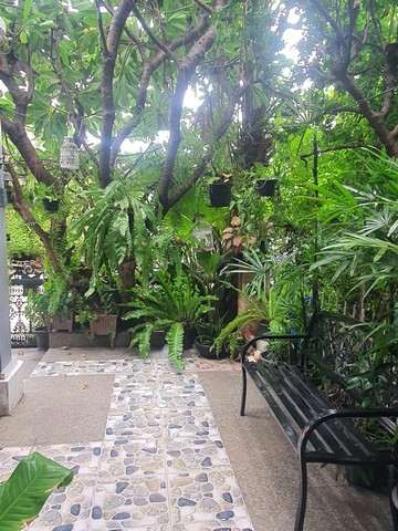 EPl-HR3596 ให้เช่าบ้านทาวโฮม 2 ชั้น สุขุมวิท 54  หมู่บ้านการ์เด็นซิตี้2  บนพื้นที่ใช้สอย 141 ตร.ม. 3 ห้องนอน 2 ห้องน้ำ 1 ห้องครัว