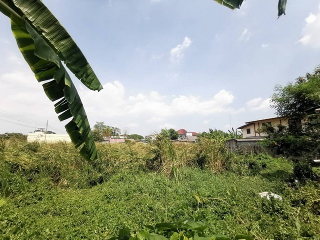 ที่ดินซอยคู้บอน31 รามอินทรา กรุงเทพมหานคร  92 ตร.ว ถูกมาก 3 ล้านบาท