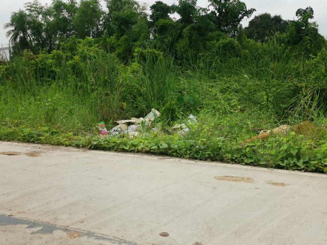 ที่ดิน 3ไร่กว่า ซ.บางขนุน3/1ห่างถ.ราชพฤกษ์ 1.6 กม. จ.นนทบุรี