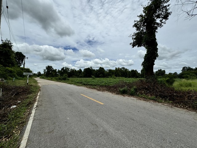 ที่ดินทำการเกษตร บ้านวังสลักพระ ติดถนน ใกล้แหล่งชุมชน