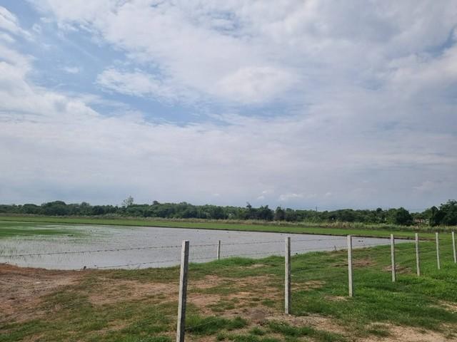 ขายที่ดิน จ.ฉะเชิงเทรา ขนาด3-12 ไร่ เขต EEC ผังสีม่วงจุดสีขาว เหมาะสร้างโรงงาน โกดัง