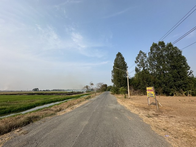 ขายที่ดินติดถนน  ตำบลโคกช้าง  อำเภอผักไห่ จังหวัดพระนครศรีอยุธยา ขนาด 2 ไร่