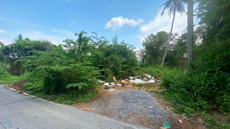 ให้เช่าที่ดิน 1 ไร่ 3 งาน 65 ตรว. ซอยบางกร่าง 45/1 นนทบุรี ติดหน้าถนน 24 ม. ลึก 97 ม. 